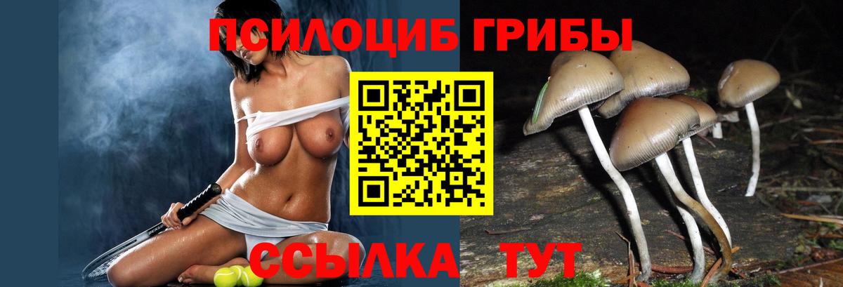 Галлюциногенные грибы Magic Shrooms  Вход с VPN  Клинцы 