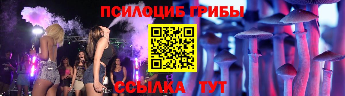 Галлюциногенные грибы Psilocybe Клинцы